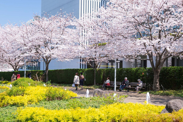 桜ライトアップやフラワーアートで春を祝う Midtown Blossom 開催 インテリア情報サイト