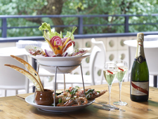 【KIHACHI】外苑いちょう並木を望むテラスでシャンパンをフリーフロー