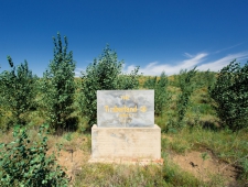 ティンバーランドが内モンゴル砂漠緑化プロジェクトで200万本植樹