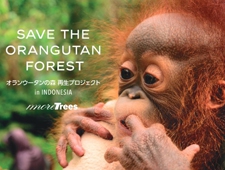 more trees『オランウータンの森 再生プロジェクト』寄付の募集を開始