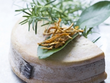 Cniel チーズと森の香りを楽しむレシピ　チーズと森の香りのマリアージュ ご提案