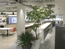ルミネの新オフィス　デザインユニットCanuch 空間デザインで大規模リニューアル