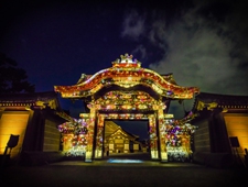【京都府】世界遺産 京都・二条城、秋の「FLOWERS BY NAKED」 開催