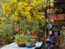 京都大原の庭とキッチンから ベニシアさんの 手づくり暮らし