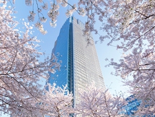 桜を都会的に楽しむ東京ミッドタウン「MIDTOWN BLOSSOM 2019」開催