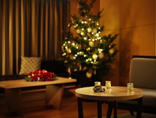 ホテル雅叙園東京で過ごすクリスマス 日本美のミュージアムホテルならではの特別な日をご提供