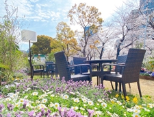 東京ミッドタウン 花々につつまれた華やかな春時間を楽しむ「ミッドタウン ブロッサム2022」開催