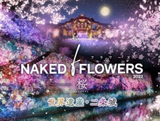 「NAKED FLOWERS 2022 -桜- 世界遺産・二条城」京都・二条城にて開催