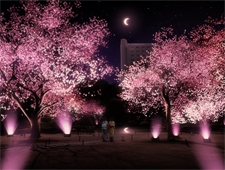 【高輪エリアのプリンスホテル】高輪に伝わる月待ち文化 月と桜を五感で楽しむ「高輪廿六夜」を開催